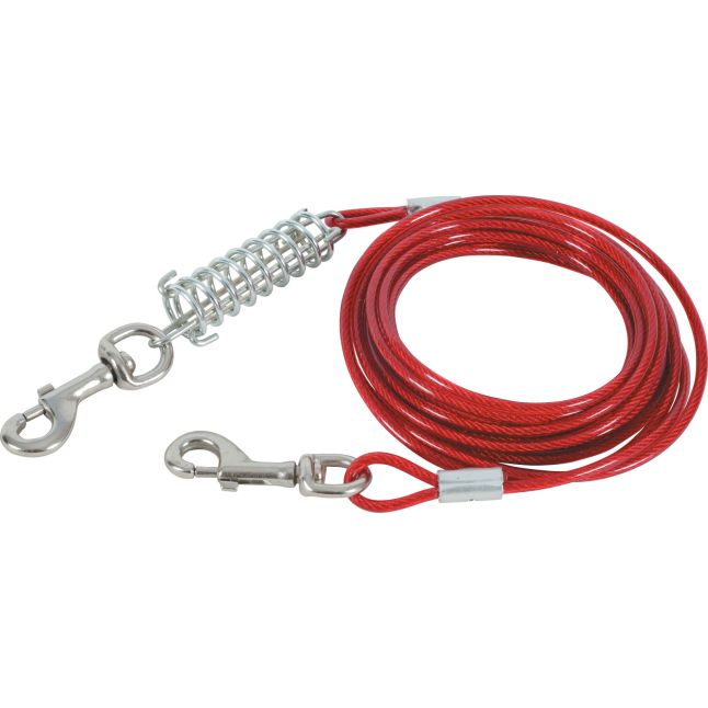 ZOLUX Cable de Sécurité et Ressort