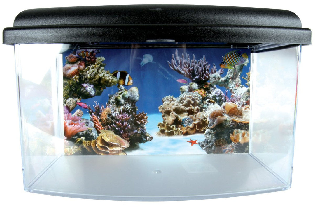 ZOLUX Aqua Travel Box II Medium 28cm