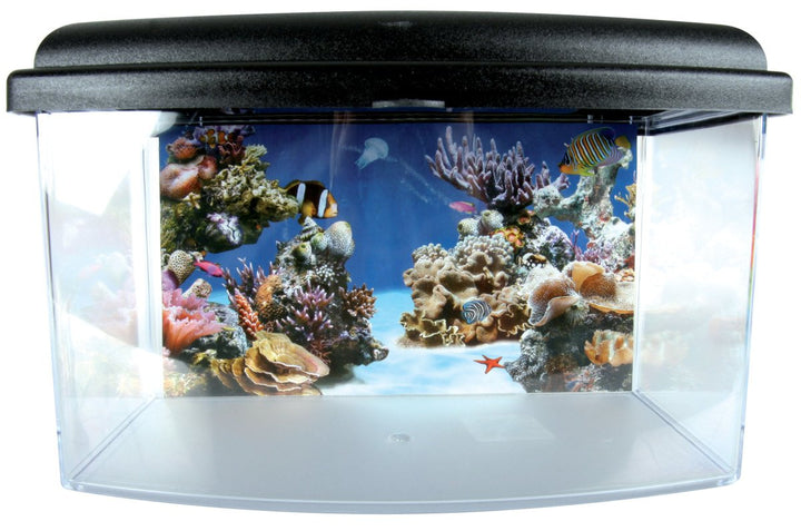 ZOLUX Aqua Travel Box II Medium 28cm