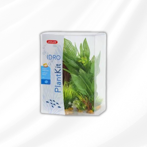 ZOLUX Plantkit Idro n°2