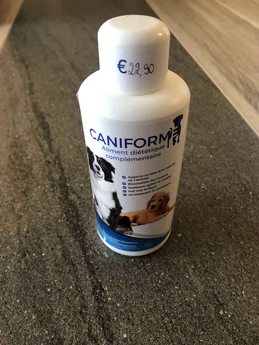 Caniforme