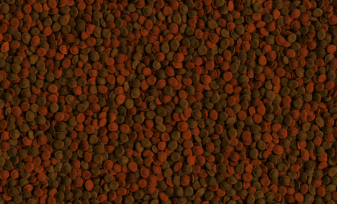 Tetra Wafer Mix 100ml