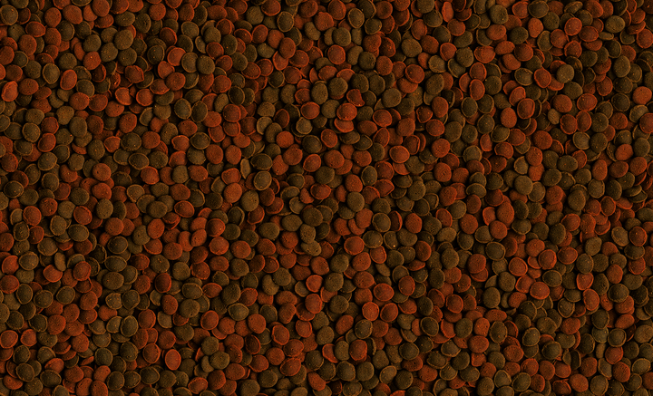 Tetra Wafer Mix 100ml