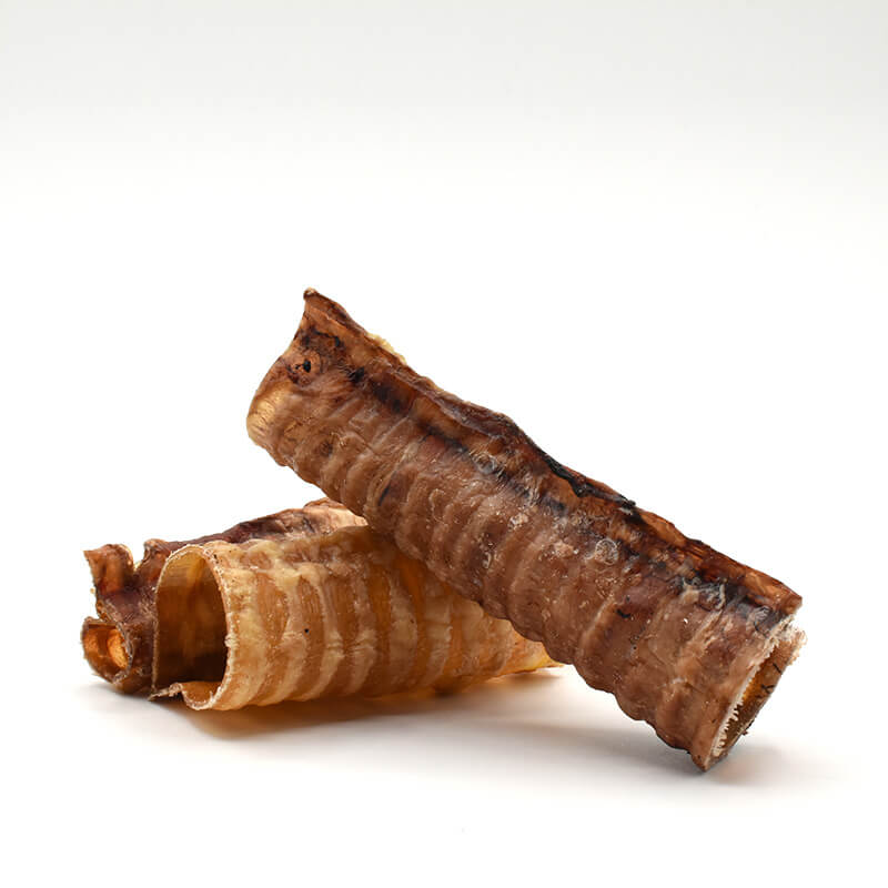 Trachée de Boeuf
