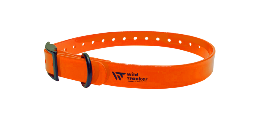 Collier X-PERT (Jaune, Orange, Rose, Vert)