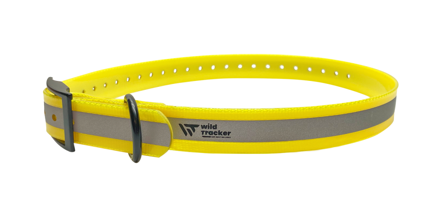 Collier X-PERT REFLECT (Jaune, Orange, Rose, Vert)