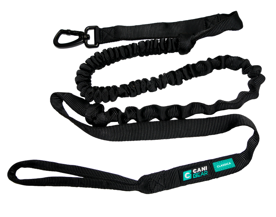 Longe de traction CLASSICA (1,9m / 2,4m)