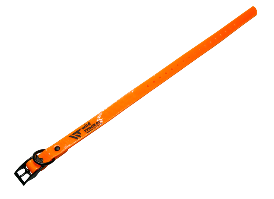 Collier X-PERT (Jaune, Orange, Rose, Vert)