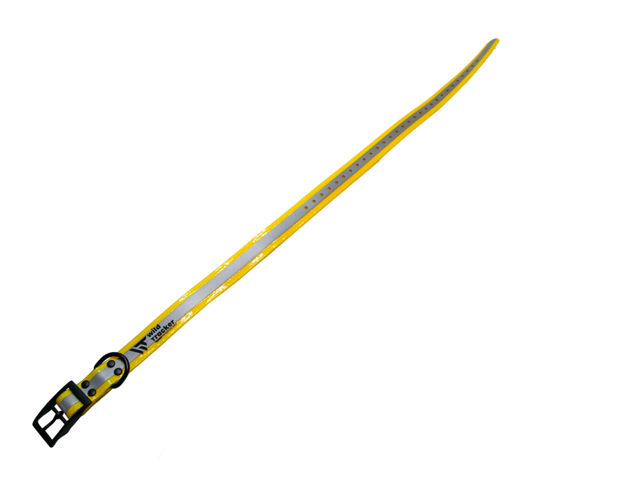 Collier X-PERT REFLECT (Jaune, Orange, Rose, Vert)