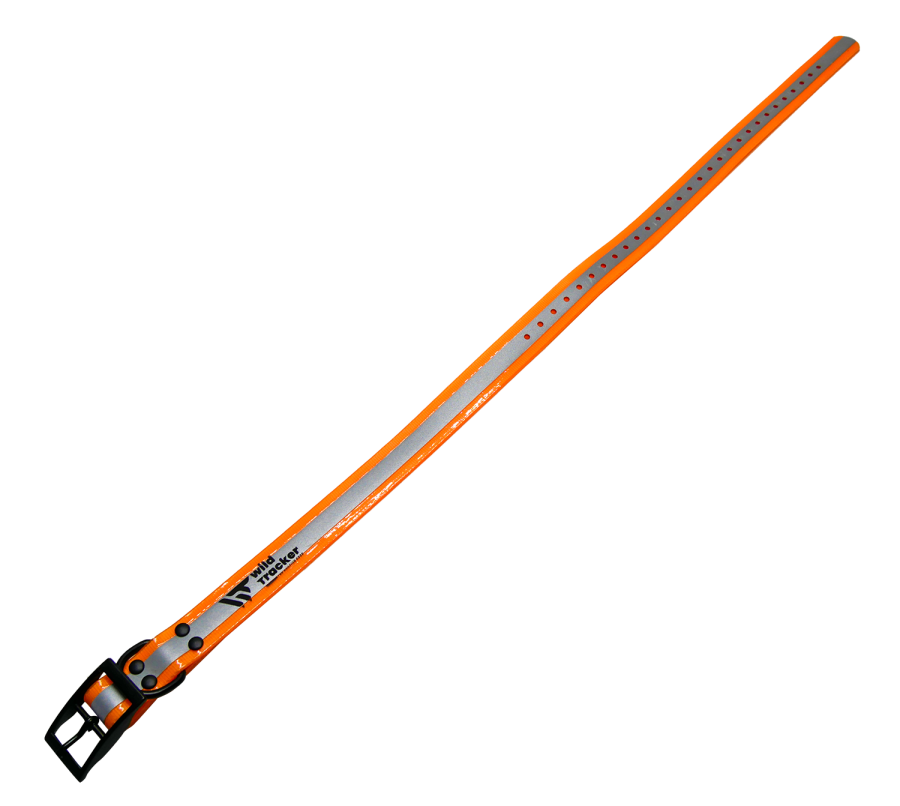 Collier X-PERT REFLECT (Jaune, Orange, Rose, Vert)
