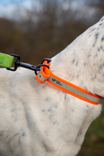 Collier X-PERT REFLECT (Jaune, Orange, Rose, Vert)