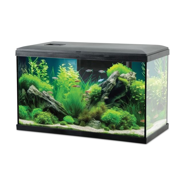 Zolux Aquarium Tana 63L