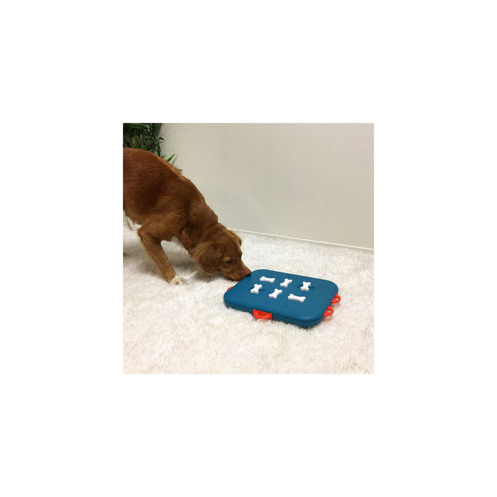 Jeu de Réflexion Dog Casino (Niveau 3)
