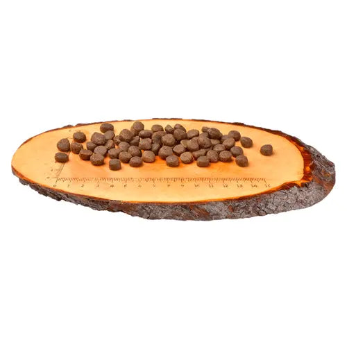 CARNILOVE Large Chat Canard & Dinde 2kg