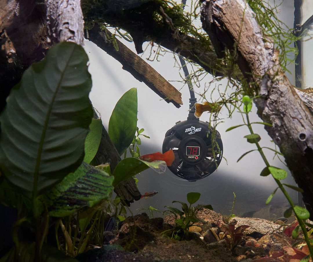 Zoomed Paludarium Heather 100W