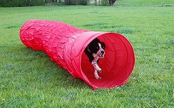 Tunnel Agility 5 mètres
