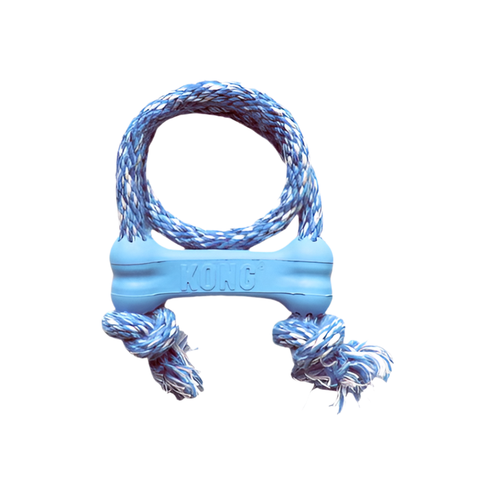 KONG Goodie Bone chiot avec corde bleu