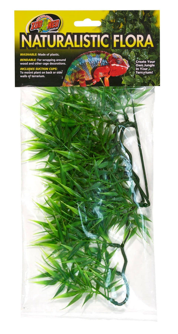 Zoomed Naturalistic Flora Madagascar Bamboo