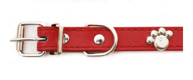 Zamibo Collier Clouté Pattes de Chien Rouge