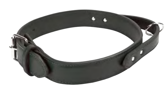 Zamibo Collier Chien Cuir Poignée