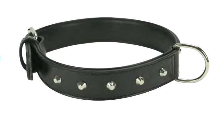 Zamibo Collier Chien Cuir Clouté Noir
