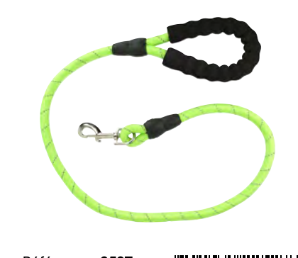 Zamibo Laisse Nylon Vert 120cm