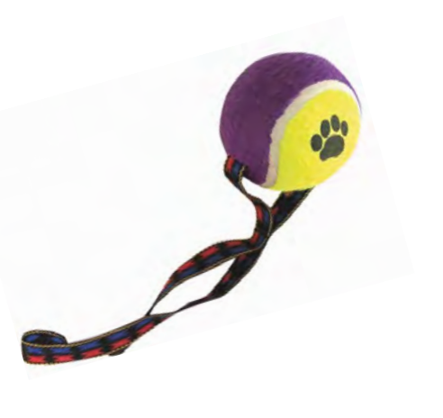 Zamibo Corde à Lancer BALLE XL ∅10X22cm