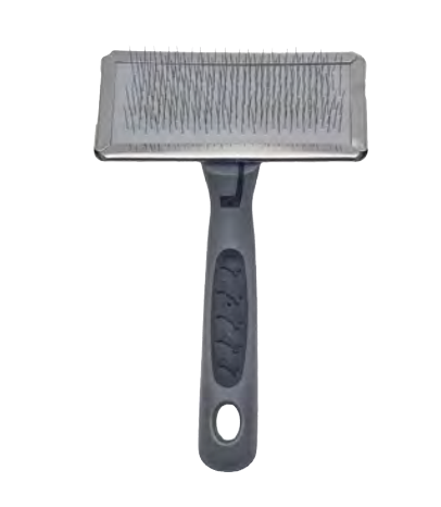 Zamibo Brosse Carde Métal PM