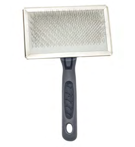 Zamibo Brosse Carde GM