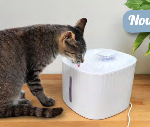 Zamibo Fontaine pour Animaux 3L