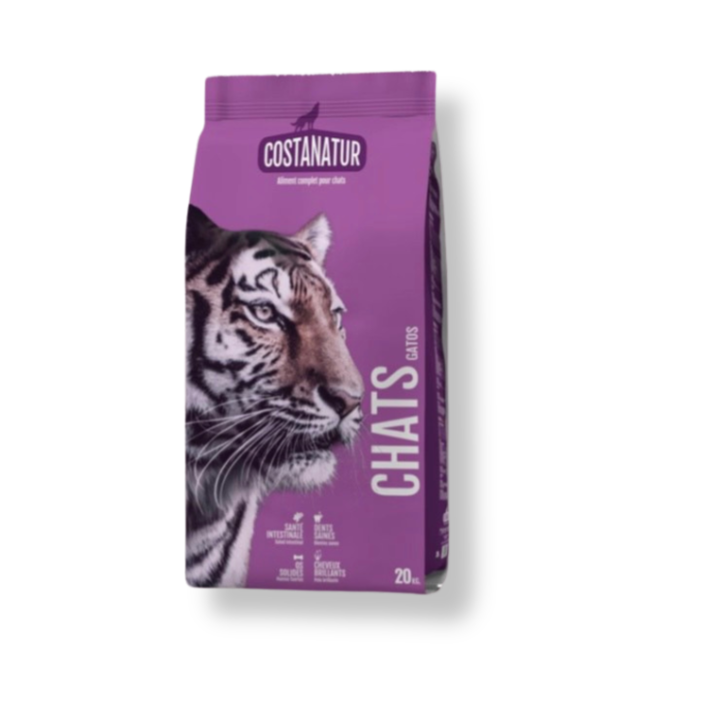 Chat