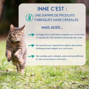INNE Chat Adulte Poisson 1,5kg