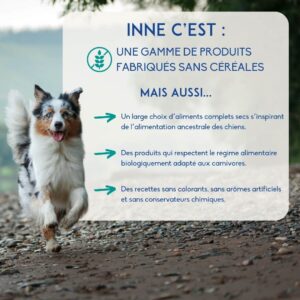 INNE Chien Balance 3kg
