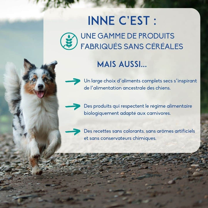 INNE Chien Atlantique Poisson 3kg