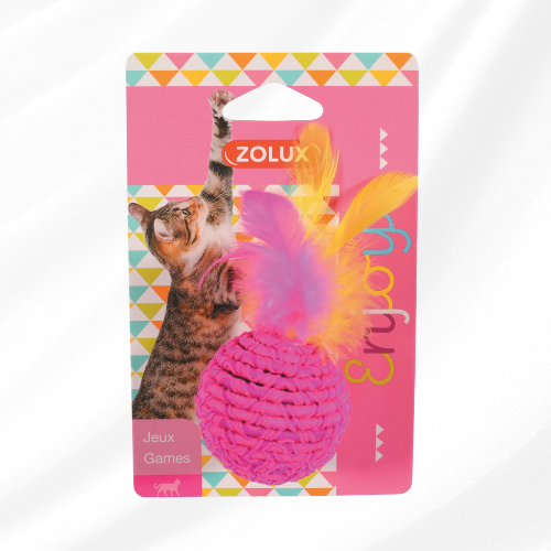 Jouet balle élastique pour chat