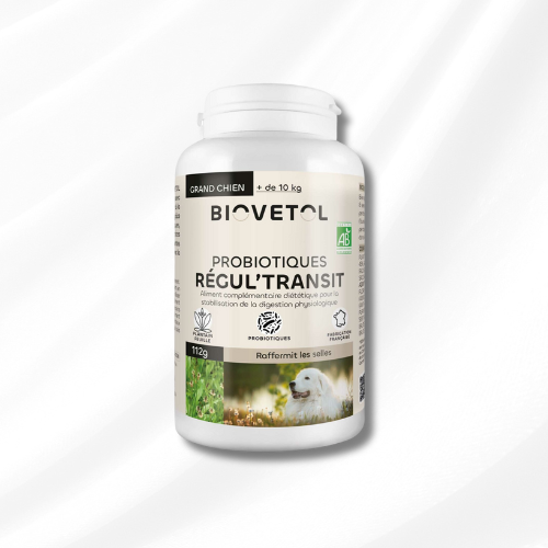 Probiotiques Regul'transit BIOVETOL - Grand chien