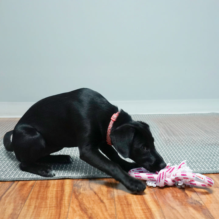 KONG Rope Puppy Corde Rose