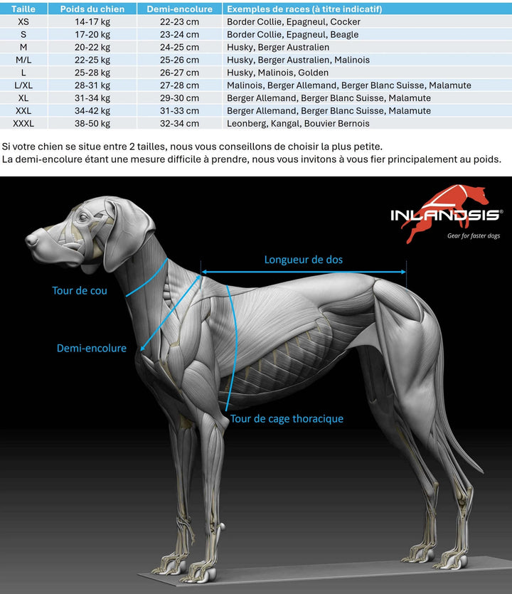 Polar Quest - Harnais canicross, mushing