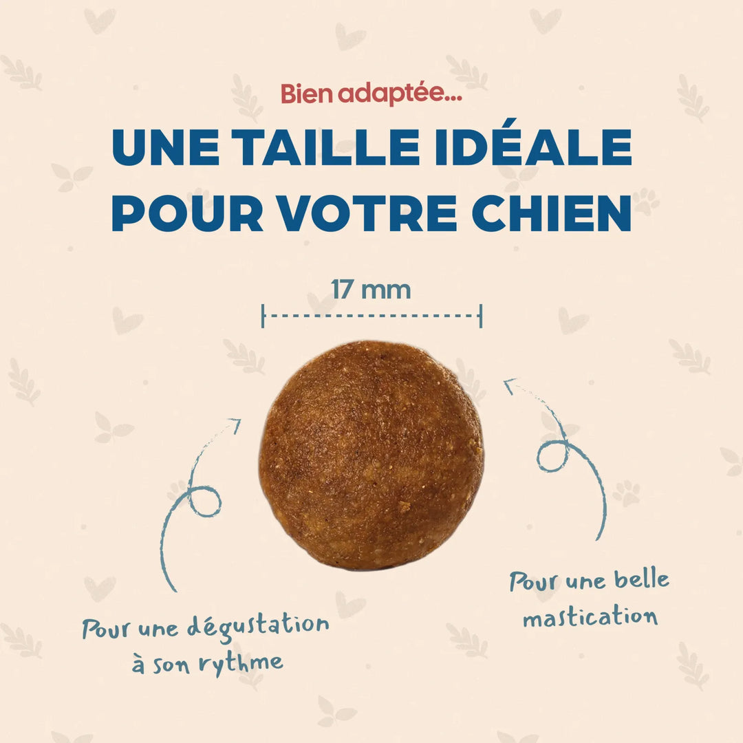 Bab'In Adulte Sans Céréales Canard 12kg (1 palette - 10 sacs)