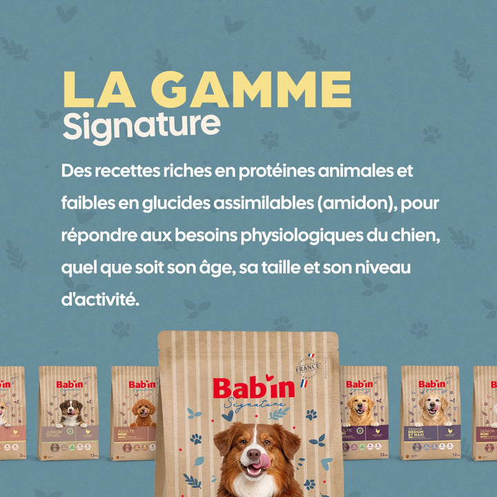 Bab'In Adulte Sans Céréales Canard 12kg (1 palette - 10 sacs)