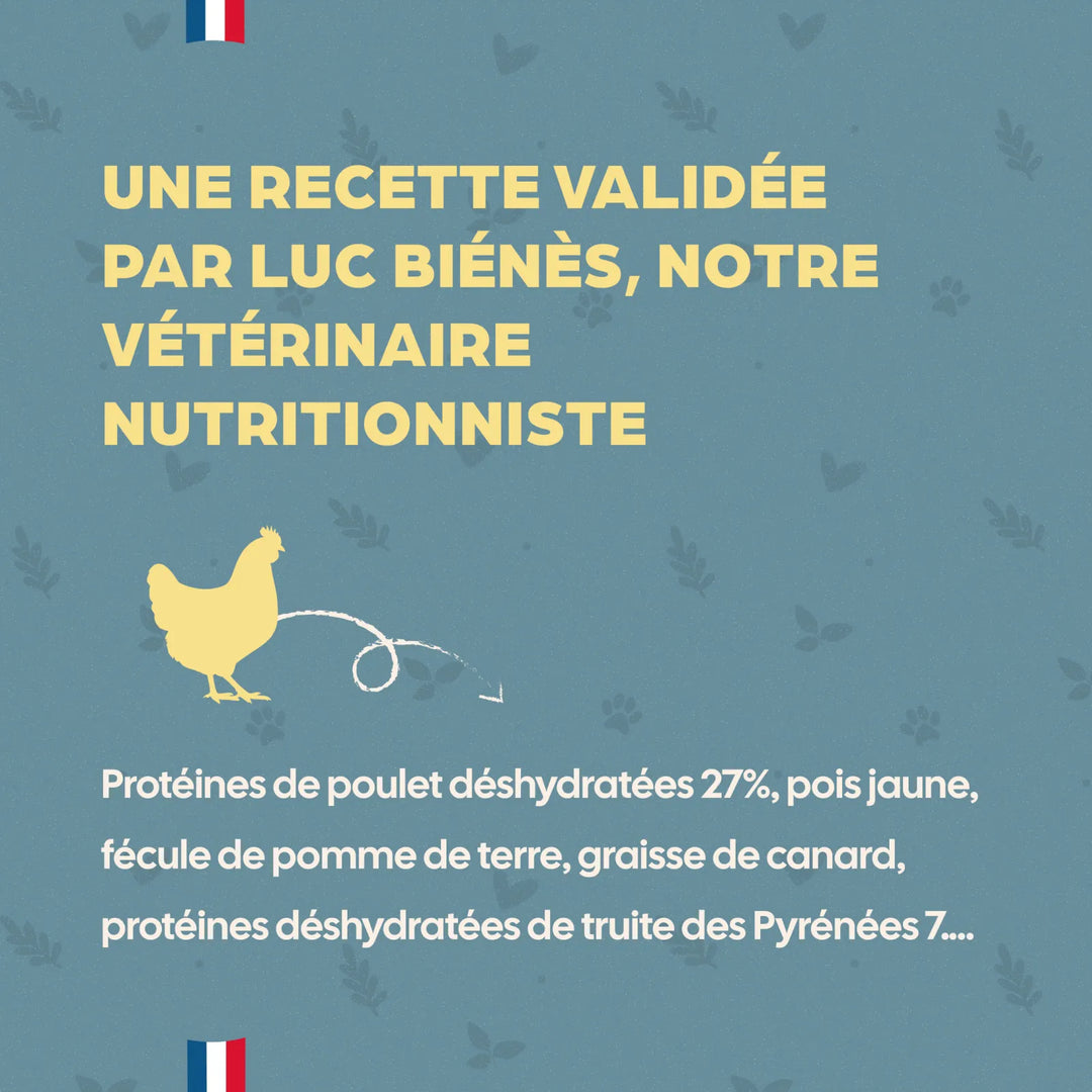 Bab'In Adulte Grain Free Poulet 12kg (1 palette - 10 sacs)
