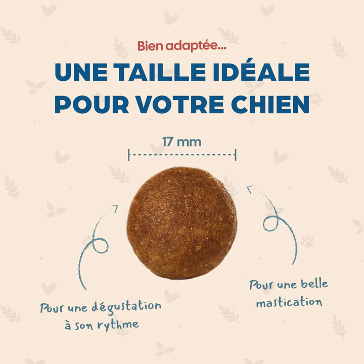 Bab'In Adulte Grain Free Poulet 12kg (1 palette - 10 sacs)