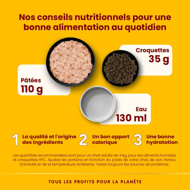 ALMO NATURE HFC Natural Filet de Poulet Chat 70g