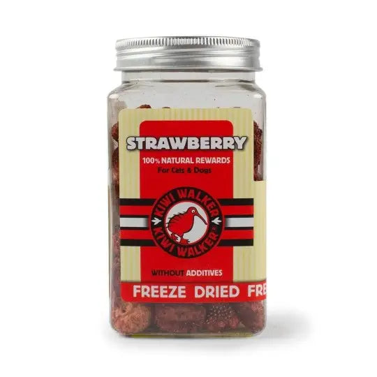 Friandises lyophilisées pour chien 100% fraise