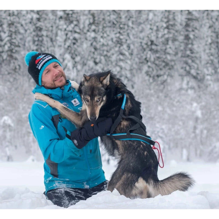 Polar Quest - Harnais canicross, mushing