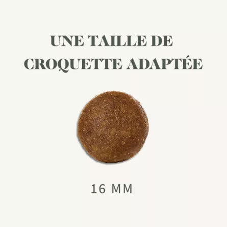 Bab’in Adulte Hypoallergénique 10kg