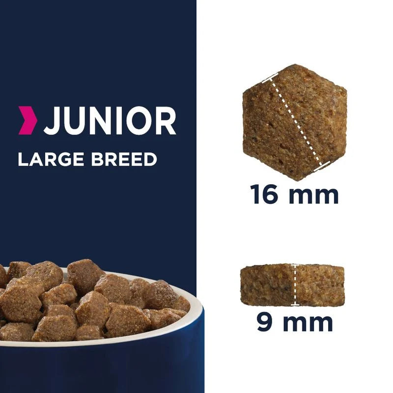 Eukanuba Junior Large Breed 12kg (1 palette - 10 sacs)