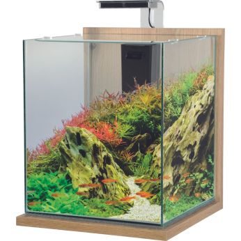 Zolux Aquarium Jalaya XL