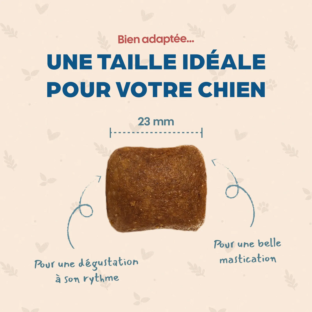 Bab'In Maxi Adulte Poulet 12kg (1 palette - 10 sacs)