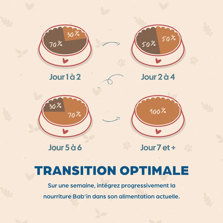 Bab'In Maxi Adulte Stérilisé 12kg (1 palette - 10 sacs)